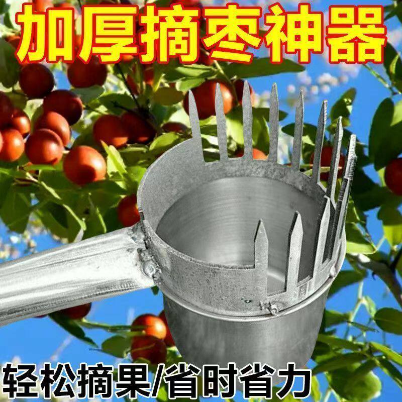 摘酸枣神器新款不锈钢手工摘采山枣专用工具加厚打摘小枣农用工具