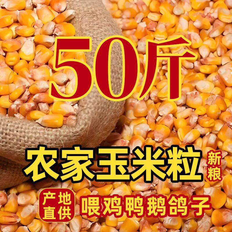农家自种自销新鲜钓鱼饵饲料动物