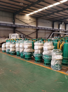 BQS25-20-4/N潜水泵 F级绝缘 纯铜电机 矿用排沙排污潜水泵