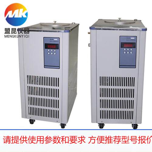 厂家供应 低温冷却液循环泵DLSB-20L/-10℃ 低温泵质量保证