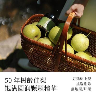 喜纯梨膏古法熬砀制酥梨膏精选山梨纯纯梨膏泡水儿童纯梨膏ULS无