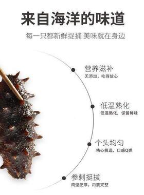 海之开品OOU大连辽刺参海水产刺身珍年货袋即食海参11_13c鲜m