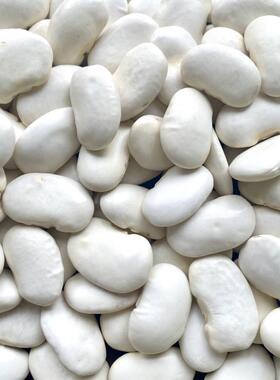 南特产DIZ白芸豆芸豆干白云腰豆白豆扁云豆货大豆大白豆辅食