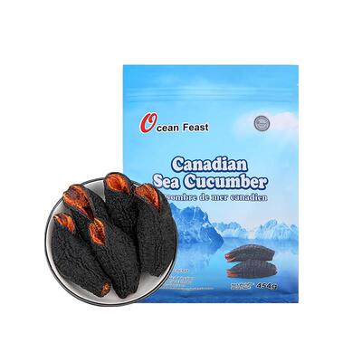 【自营】OceanFeast加大野拿无生北淡干海参干货454极g开AFJ口花