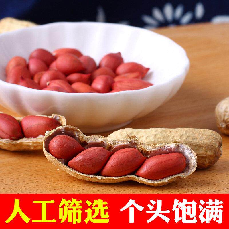 东北种生花生生新花米带壳红CJJ生皮衣鲜农家四粒晒干子干货散装