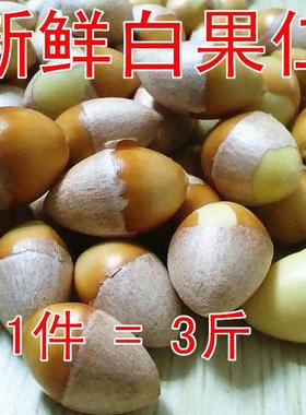 【手MVV去壳鲜白果仁】新鲜生剥白仁银果杏果仁3斤包工邮银杏现去