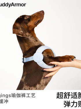 BuddyArmor狗狗超舒适胸背带弹力缓冲贴身剪裁中小型犬遛狗犬出门