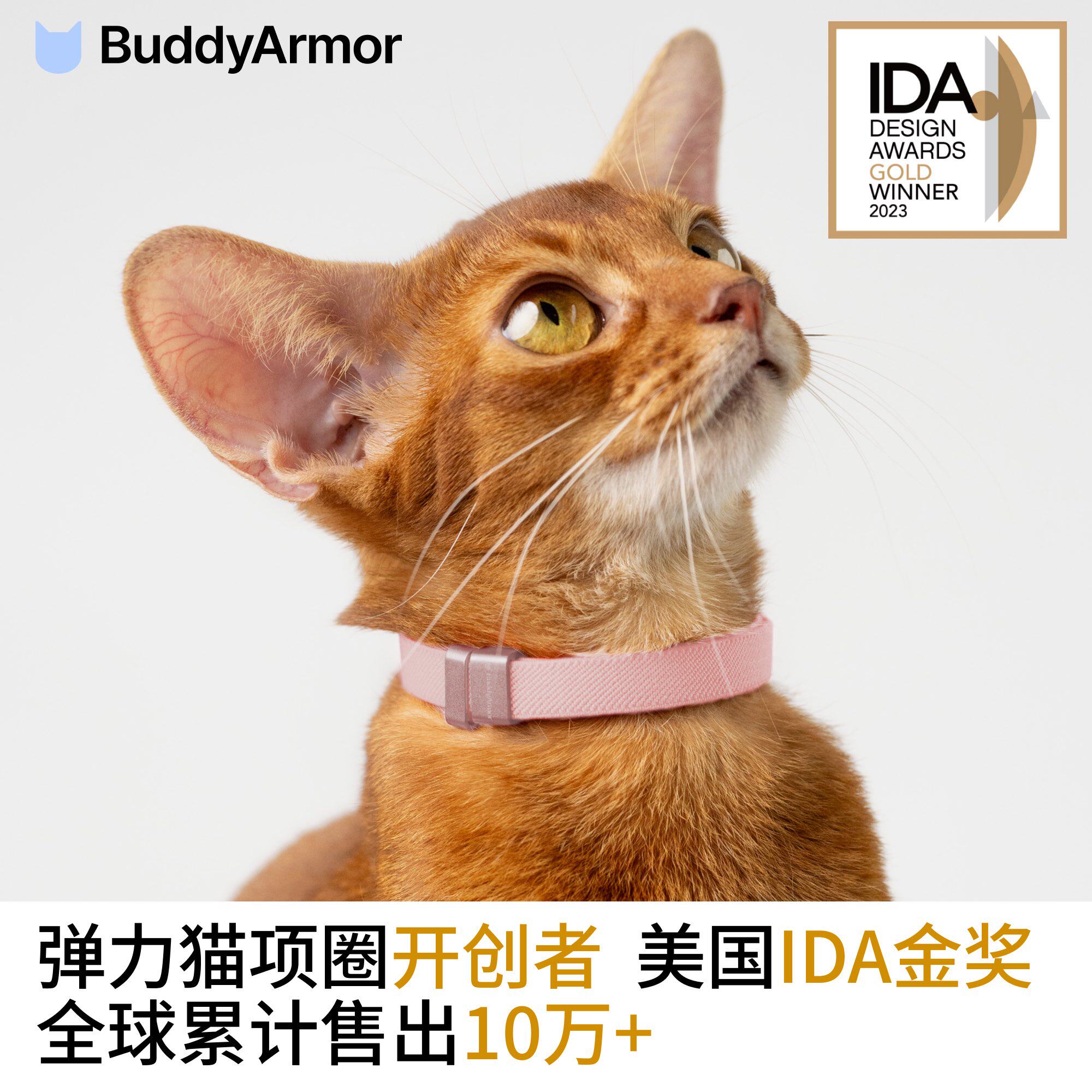 BuddyArmor安全猫项圈猫咪防窒息颈脖圈幼猫轻便经典宠物弹力项圈