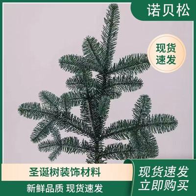 国产诺贝松松枝鲜切真树鲜花