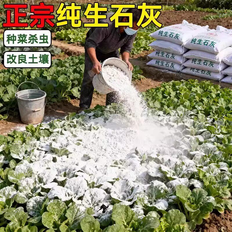 种菜专用石灰粉生石灰杀虫消毒干燥剂菜地驱蛇粉养殖土壤除湿防潮