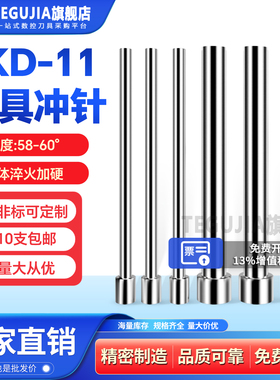 模具冲针SKD11高速钢模具T冲A冲非标定制模具冲孔冲子1/1.5/2/25
