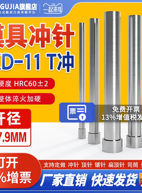 模具冲针SKD11高速钢模具T冲A冲非标定制3/3.2/4/4.5/5/6/7/7.9