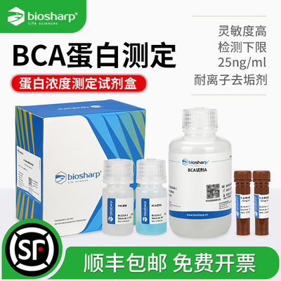白鲨BCA蛋白定量试剂盒500T