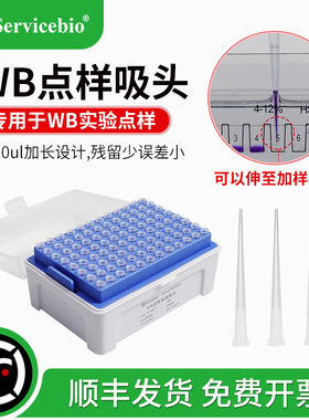 Servicebio 赛维尔 WB点样吸头 凝胶加样吸头 电泳上样吸头10ul200ul加长盒装 残留少 误差小 WB实验更准确