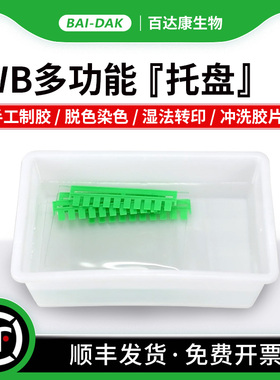 百达康 Western blot 多功能托盘 通用托盘方盒 电泳凝胶暂存盒 湿法转印 脱色染色 显影冲洗胶片