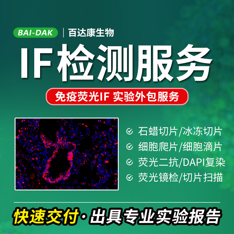 数字荧光扫描生成组织切片全景图像