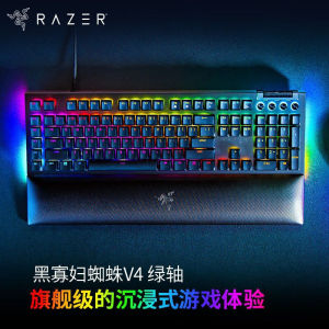 Razer雷蛇黑寡妇蜘蛛V4段落线性电竞电脑游戏机械键盘RGB幻彩灯光