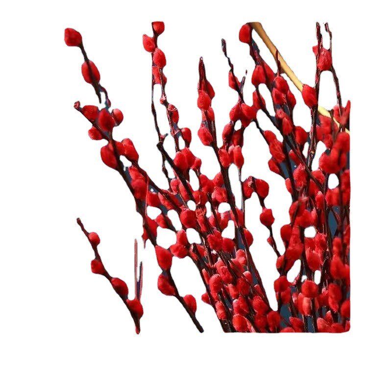 招财银柳真花鲜枝春节年宵花w卉水培植物干花红色银柳新年室内装