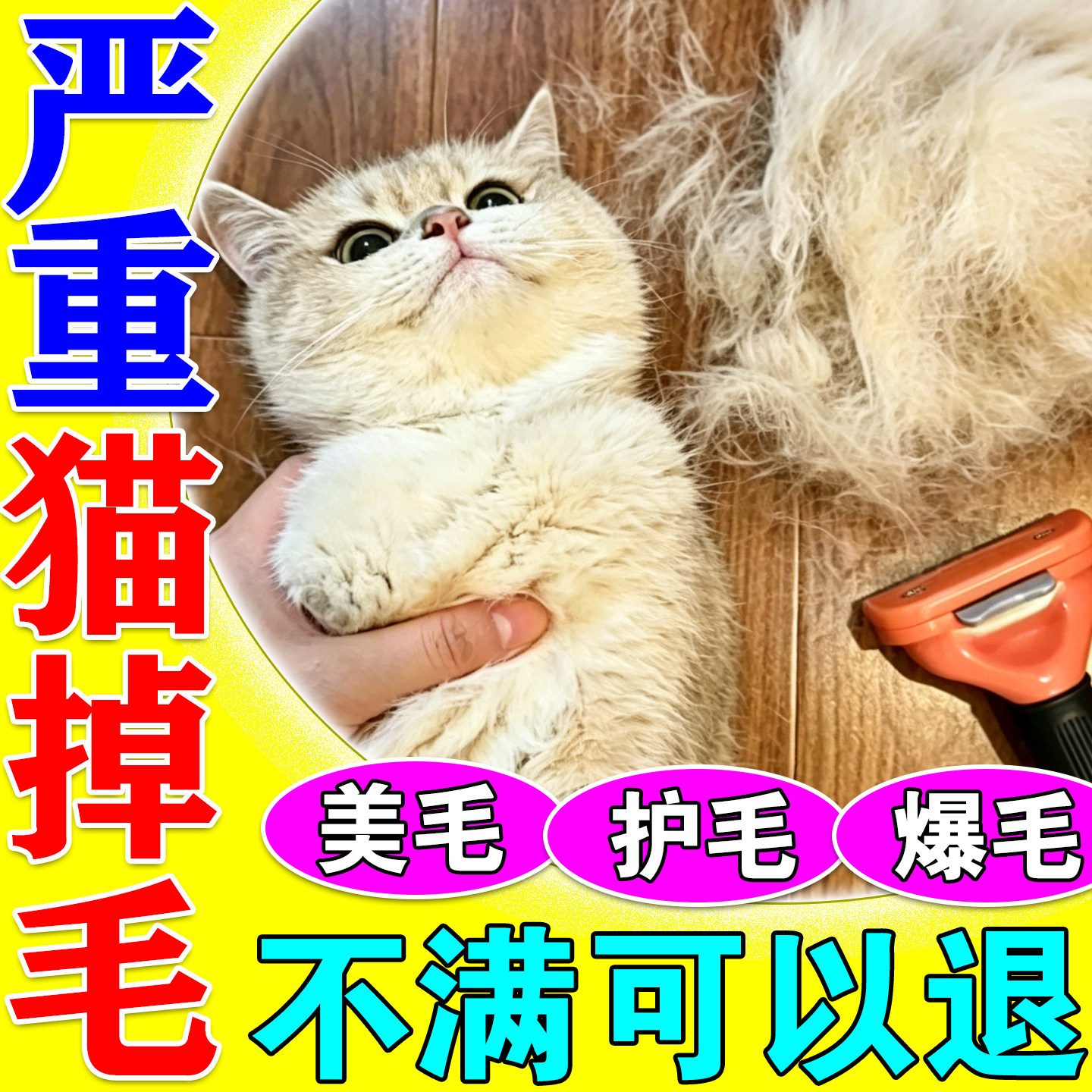 猫掉毛严重吃什么深海鱼油防猫咪掉毛神器专用卵磷脂宠物美毛靓毛