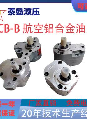 铝合金LCB-B6/B4/B10齿轮油泵电机组CB-B2.5JZ0.37/0.55W循环泵
