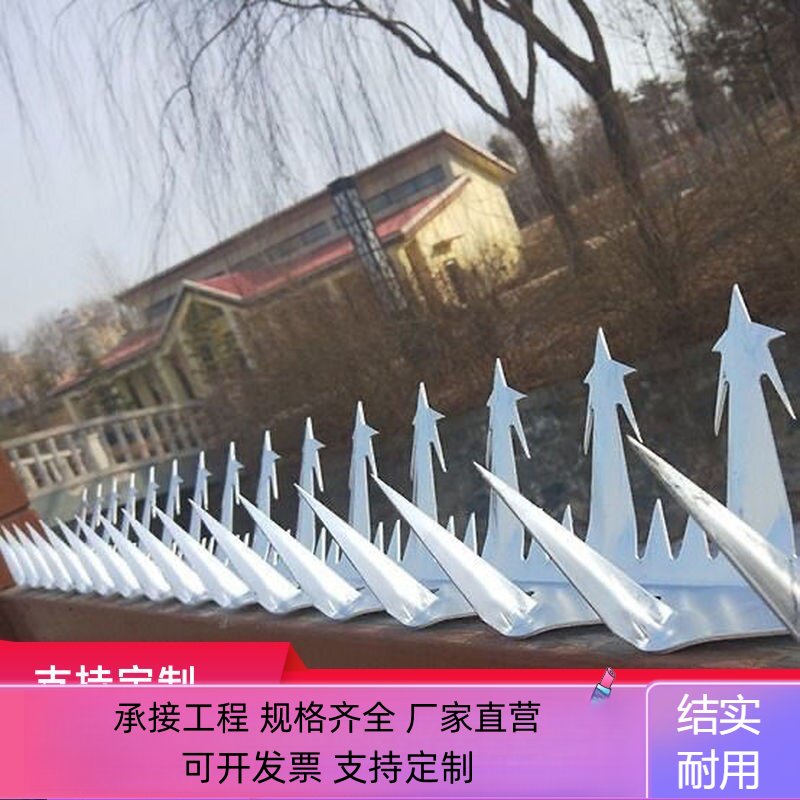 304不锈钢防爬刺围墙防爬热镀护栏/隔离栏