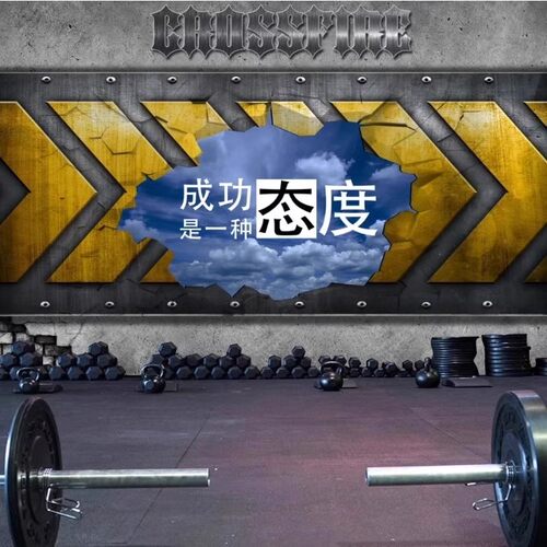 3d铁皮金属背景墙纸健美台球壁画