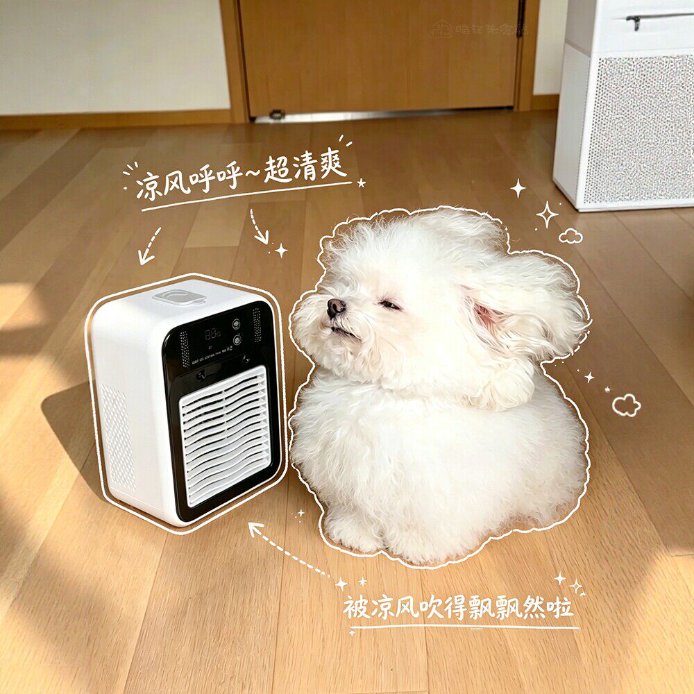 宠物降温风扇夏季猫咪风扇降温神器狗狗专用宠物用品小型迷你卡通