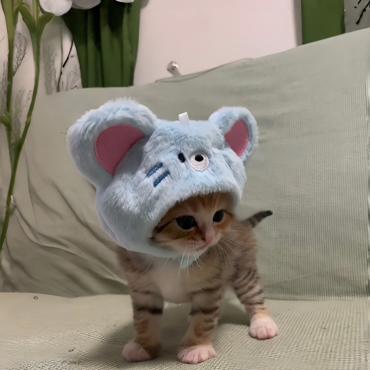 是咪老鼠!可爱猫猫头套宠物毛绒鼠头套小头围饰萌宠造型出片拍照