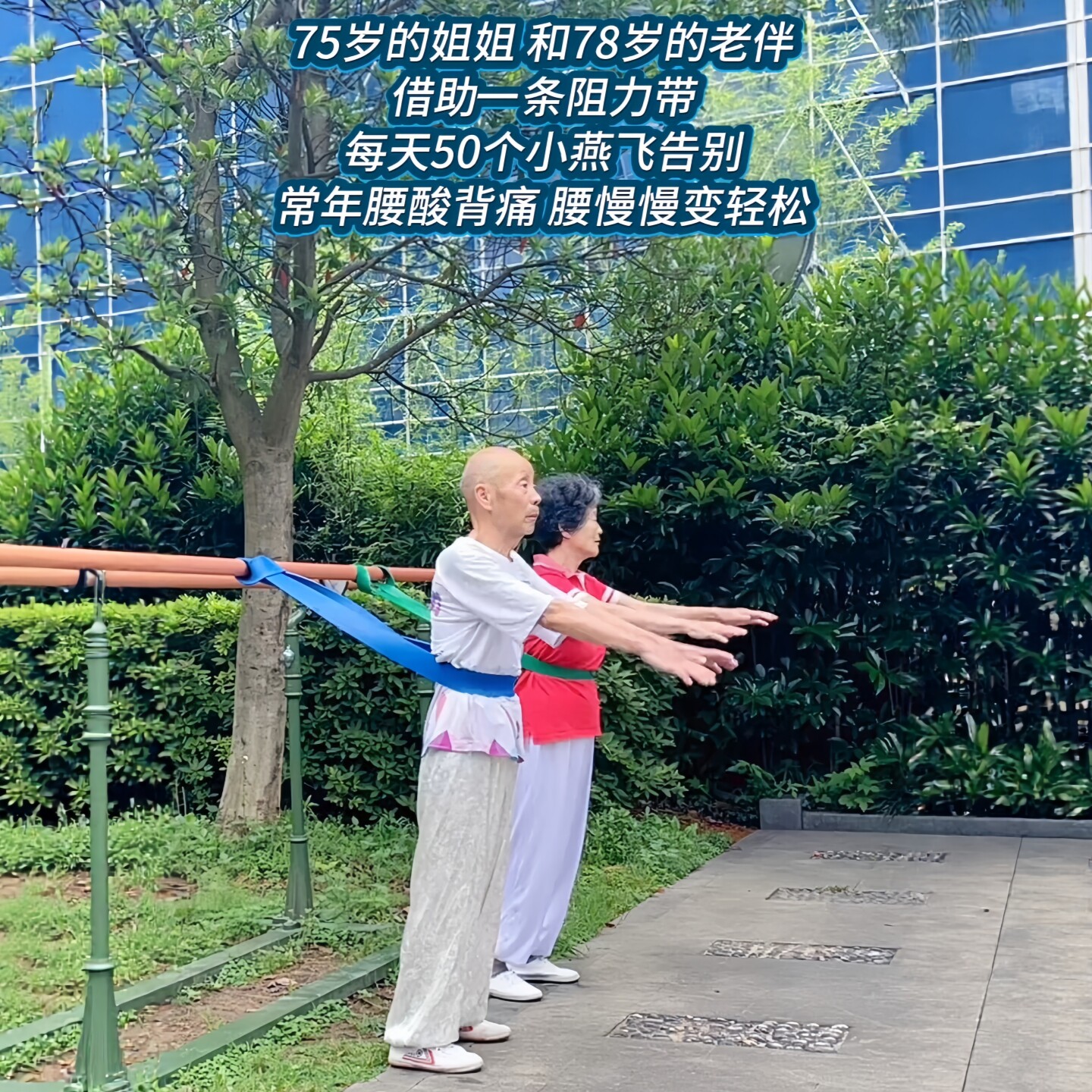 阻力带中老年专用弹力带拉伸力量训练女士健身腰腿锻炼辅助拉力带
