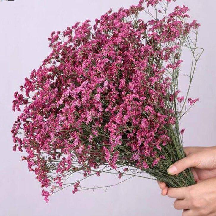 红色水晶花 干花花束云南直基地直发 干花束配草居家装饰摆设绢花