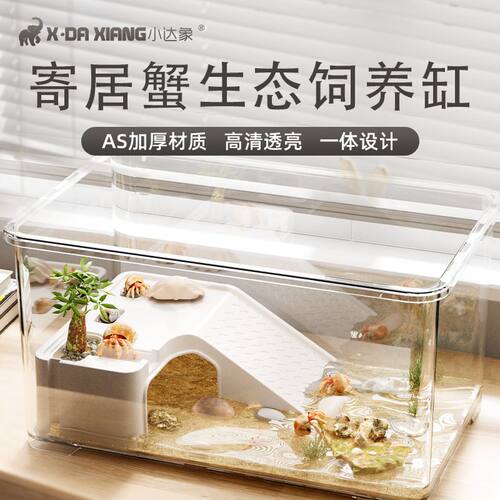 寄居蟹饲养箱套装小型桌面爬宠盒相守蟹螃蟹生态养殖箱乌龟饲养缸