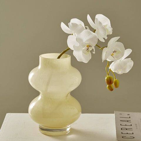 芬顿中古花瓶ins风高颜值插花水养摆件高档琉璃玻璃水培器皿