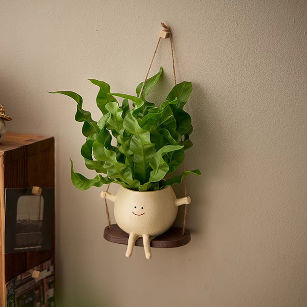 笑脸吊兰荡秋千垂吊植物室内新家装饰盆栽办公室绿植可爱室内植物