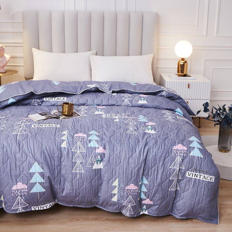 拉链加厚米纯棉冬季空调全棉单人夹棉0被罩15020两用x单件被套