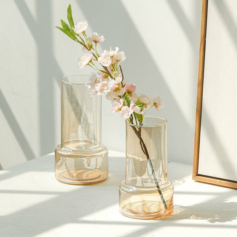 星璇ins风简约幻彩玻璃花瓶水培绿萝鲜花插花小客厅水养创意