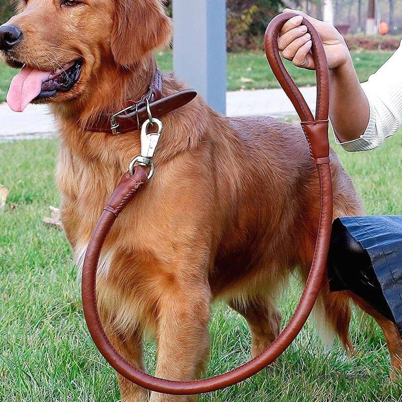 金毛牵引绳小中大型犬耐磨pu皮革牵狗绳项圈脖圈绳子一体遛狗神器