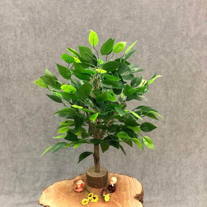 仿真新款绿色盆栽假绿植桌面摆件人造植物装饰婚庆花艺软装小榕树,家居饰品,仿真植物盆景,淘宝优惠券,粉丝福利购,淘宝优惠卷