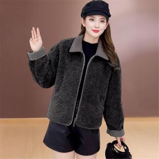 短款羊羔毛外套女秋冬2026新款今年流行爆款巨好看摇粒绒翻领上衣