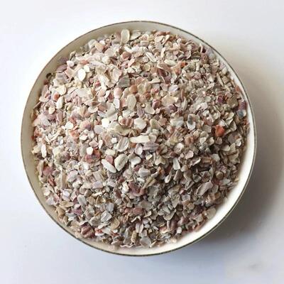 贝壳粒颗 沙涂加料助剂用贝壳 胶粉家禽饲料添剂高钙贝285壳粉