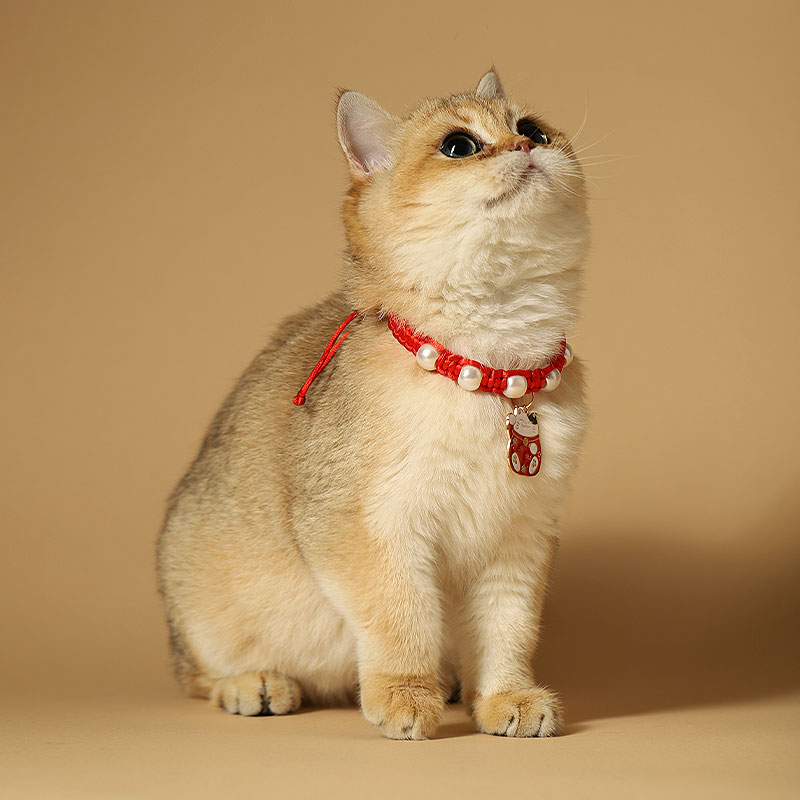 猫咪项圈珍珠h项链猫颈圈脖子装饰品狗狗铃铛小型犬围脖防丢失配
