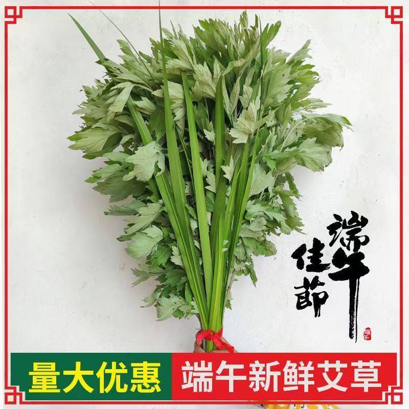 整棵新鲜艾草端午插门艾祈福现割