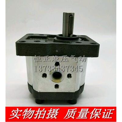 高压齿轮液压油泵CBT-G304 306 310 314 316 320 325