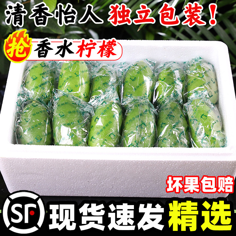 广东香水柠檬新鲜一级果应当季水果海南无籽青柠檬奶茶店专用9斤