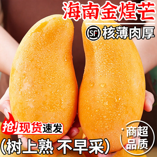 TOP正宗海南金煌芒！官方推荐！