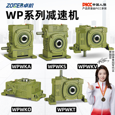 WP系蜗轮蜗杆减速机【厂家批发】