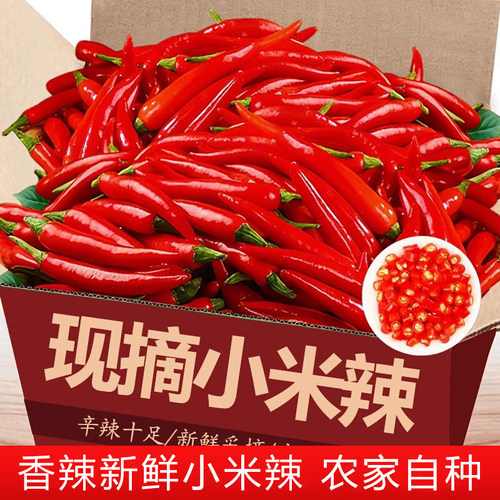 小米辣椒新鲜批发朝天椒特辣泡椒红小尖椒指天椒优质红辣椒超辣