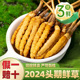 虫草精品礼盒 头茬鲜草 2024新鲜冬虫夏草官方旗舰店鲜虫草正品