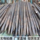 建筑工地修路用地钉螺纹钢爬树钉工程錾帐篷钉固定钉钢筋钉一尖钉