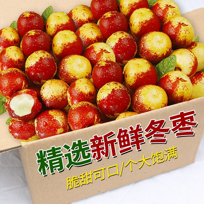 山东沾化冬枣新鲜大枣冰糖脆甜特大5斤应季水果当季枣子整箱
