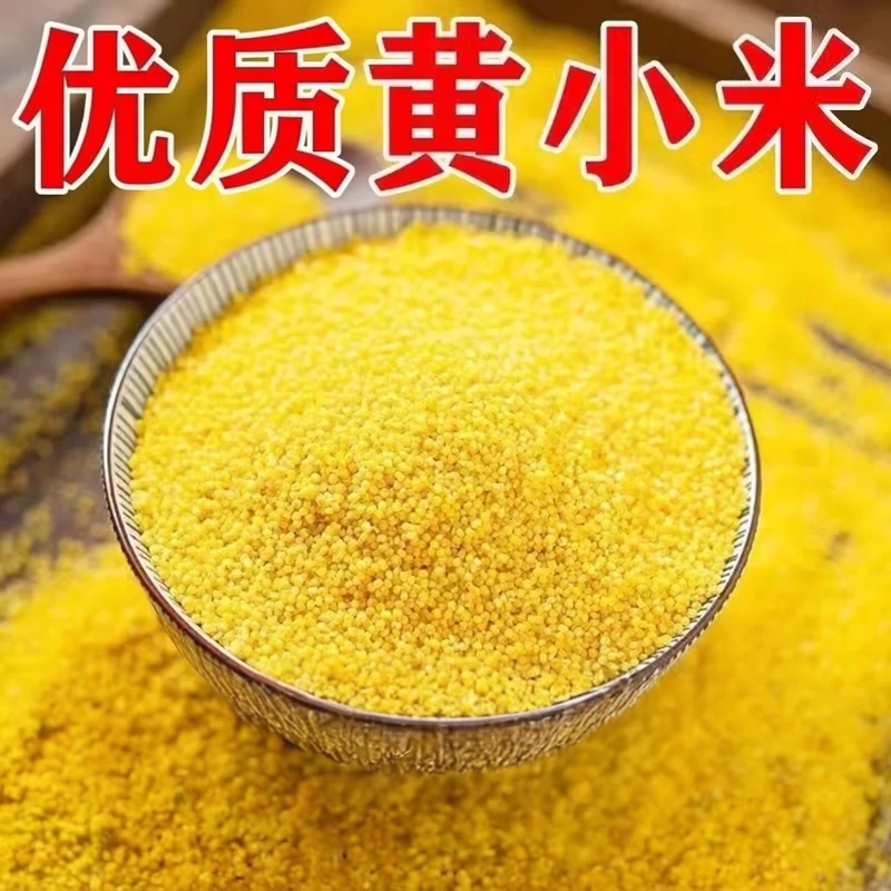 2025年黄小米新米农家自产食用汾州小米五谷杂粮食糯小米粥